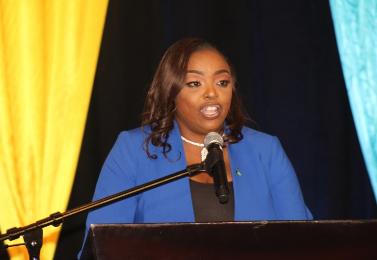 State-Minister encourages participants of ‘historic’ GBV Law Review ...