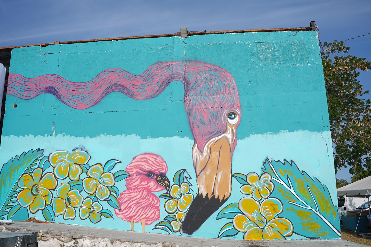 Jubilee Day Sparks Independence Fever ZNS BAHAMAS