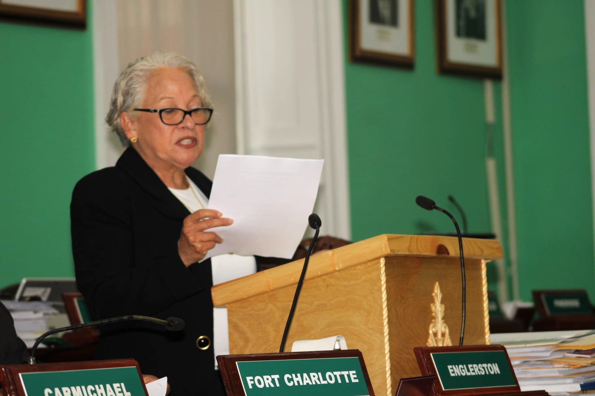 The National Youth Commission Will Drive Youth Programs and Services