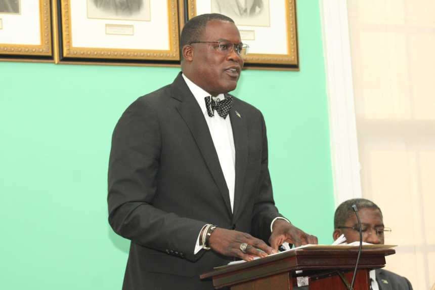 ZNS BAHAMAS website preview